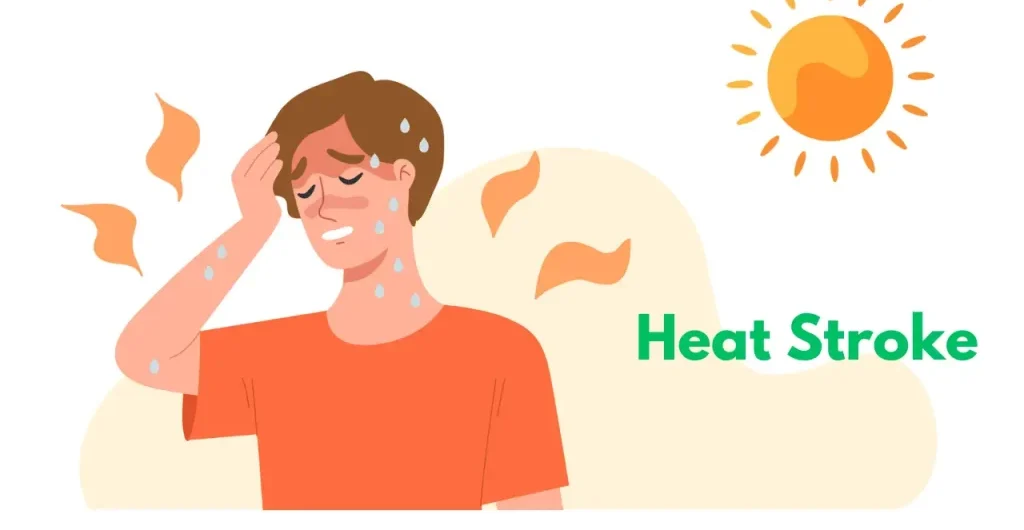 Health Related Issues You Can Face in the Extreme Heat