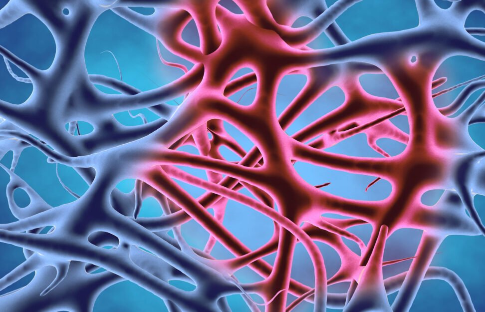 Inflammation: Symptoms, Risk Factors, Foods to Avoid