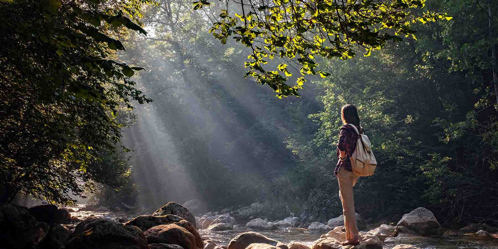 Reasons You Should Spend More Time in Nature