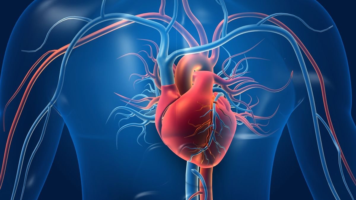 Coronary Artery Disease: Risk Factors, Symptoms, & Treatment