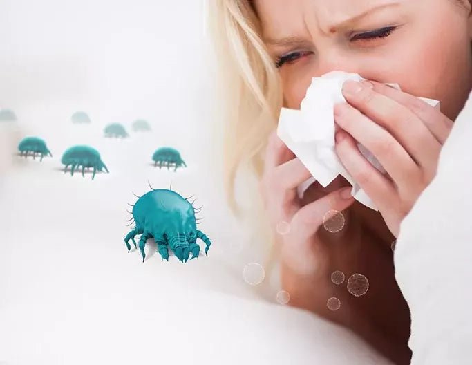 Dust Mites Allergies Symptoms, Causes, Treatments