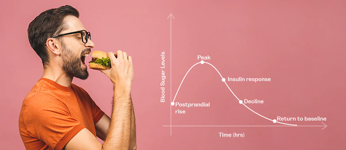What happens in your Body When Blood Sugar Spikes?