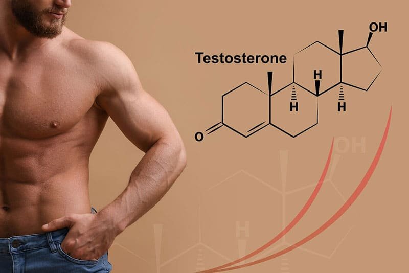 Truth about Testosterone Every Man Should Know
