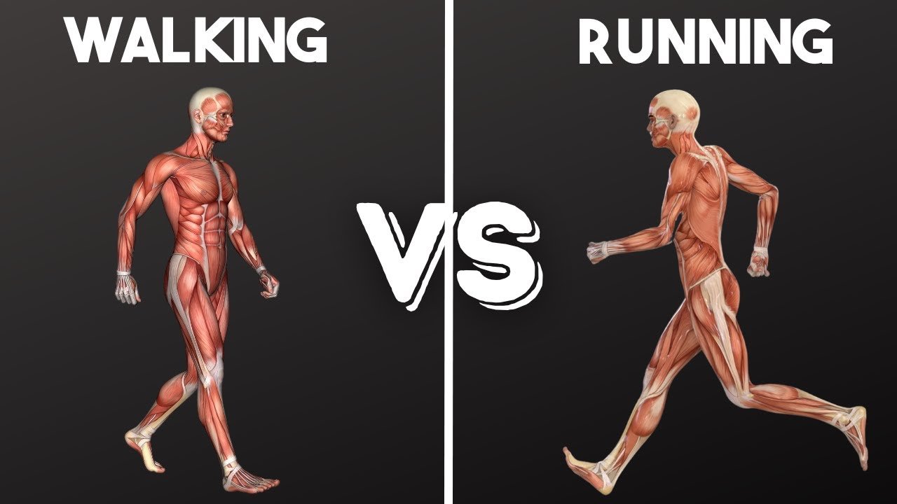 Walking vs Running Which Burns More Fat?