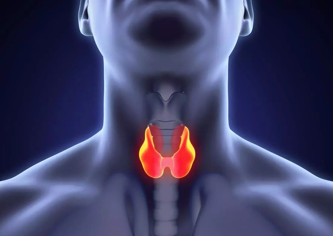 Thyroid Disorder Symptoms, Risk Factors, Treatment, & more