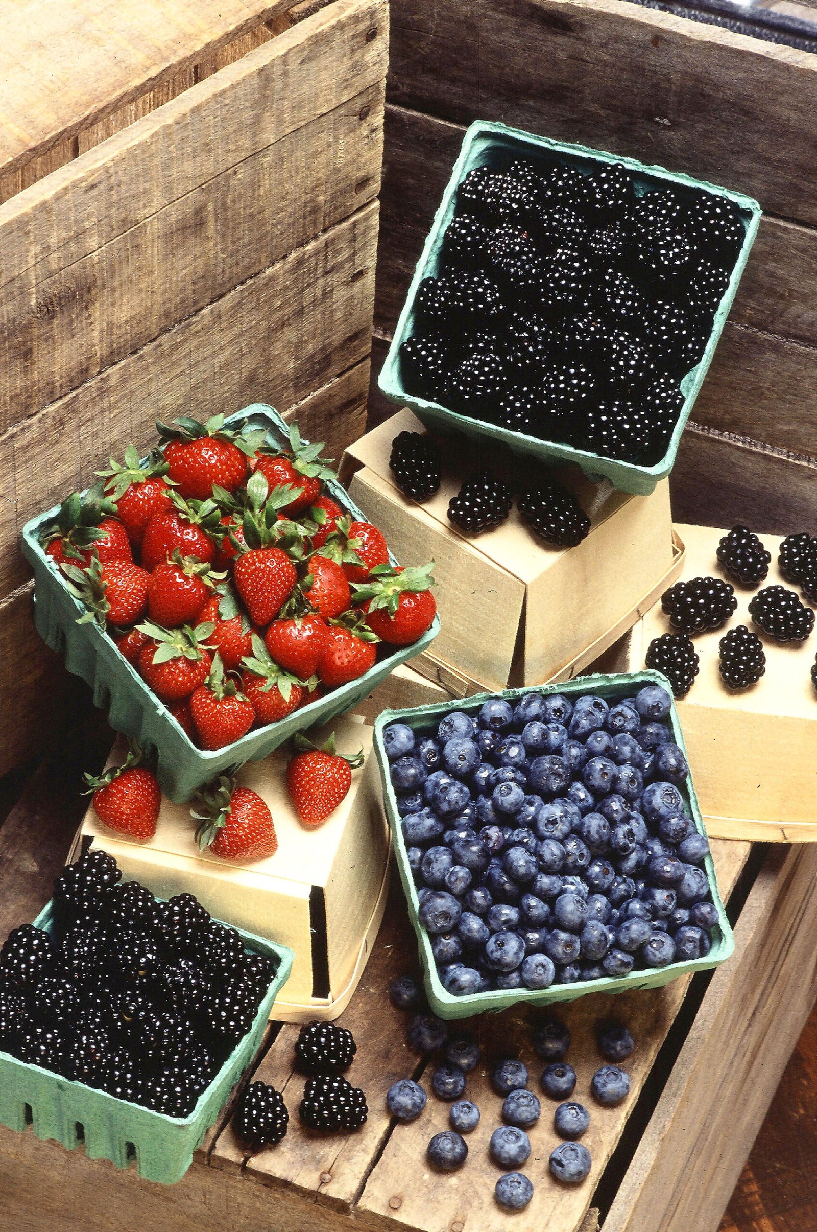 Berries: A Superfood You Shouldn't Ignore