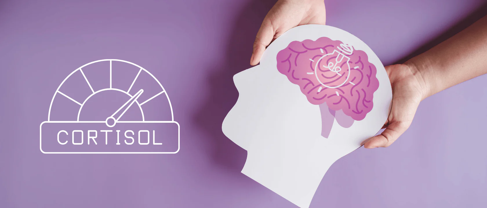 Cortisol and Stress: How They Affect Your Body