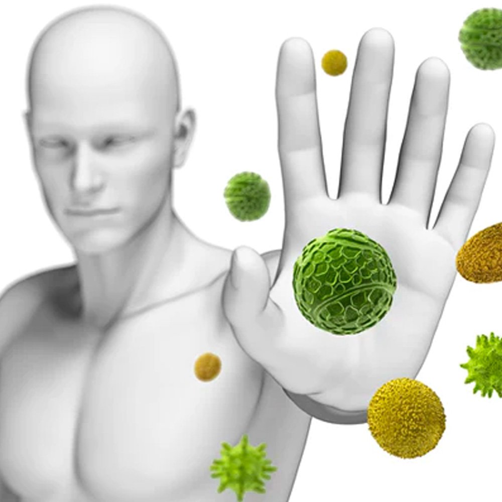 Boosting Immunity: Staying Healthy